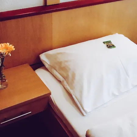 Cvjm-tagungshaus Am Unesco-welterbe Bergpark Wilhelmshoehe Hotel Kassel